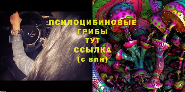герыч Алзамай